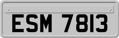 ESM7813
