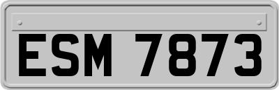 ESM7873
