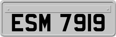 ESM7919