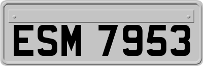 ESM7953