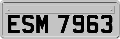 ESM7963