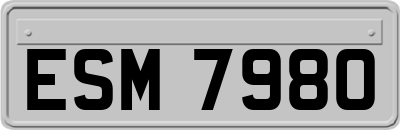 ESM7980