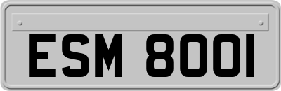 ESM8001