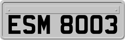 ESM8003