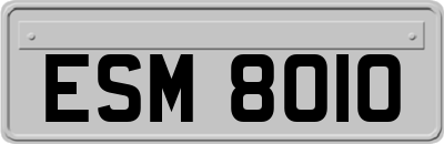 ESM8010
