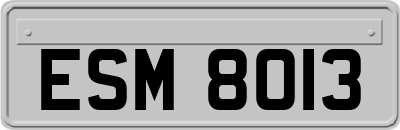ESM8013
