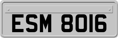 ESM8016