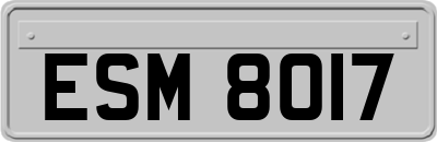 ESM8017