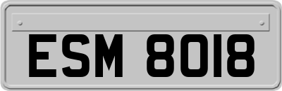 ESM8018