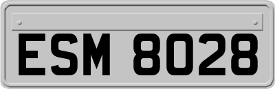 ESM8028