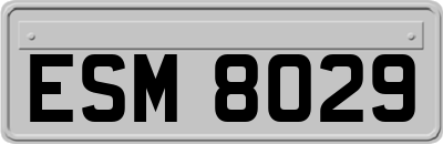 ESM8029