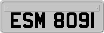 ESM8091