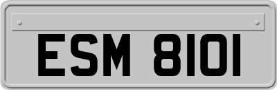 ESM8101