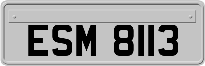 ESM8113