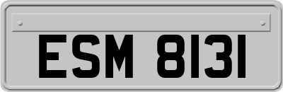 ESM8131