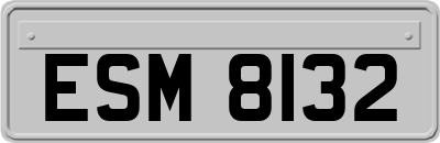 ESM8132