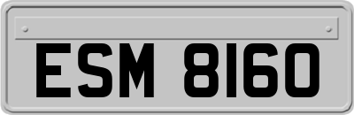 ESM8160