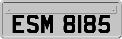 ESM8185