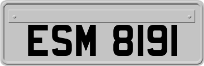 ESM8191