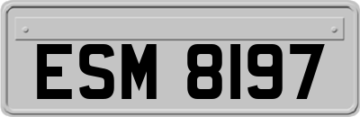 ESM8197