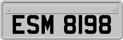 ESM8198