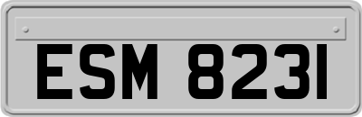 ESM8231
