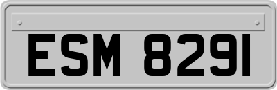 ESM8291
