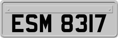 ESM8317