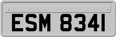 ESM8341