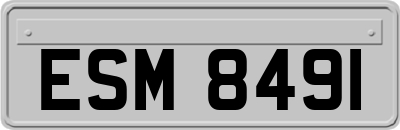 ESM8491