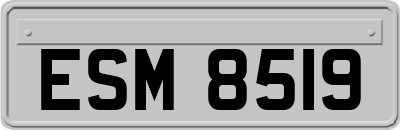 ESM8519