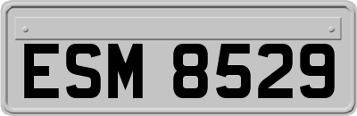 ESM8529