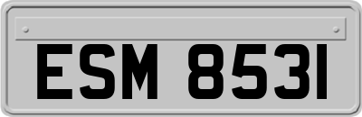 ESM8531