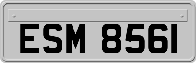 ESM8561