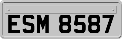 ESM8587
