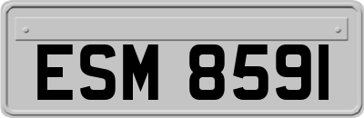 ESM8591
