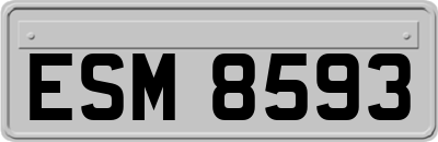 ESM8593