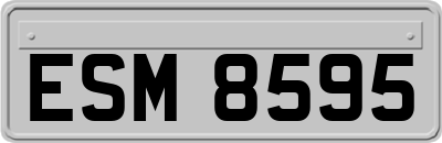 ESM8595