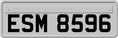 ESM8596