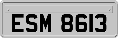 ESM8613