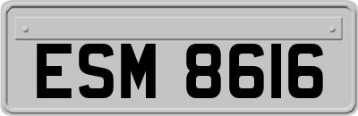 ESM8616