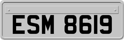 ESM8619