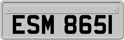 ESM8651