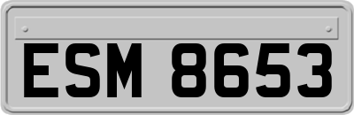 ESM8653