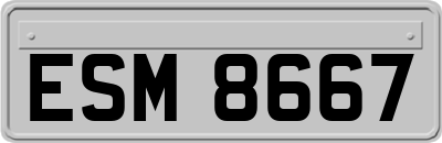 ESM8667