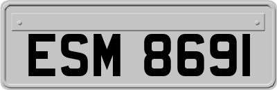ESM8691