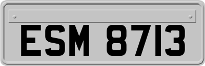 ESM8713