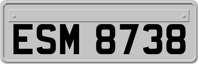 ESM8738