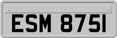 ESM8751