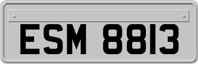 ESM8813